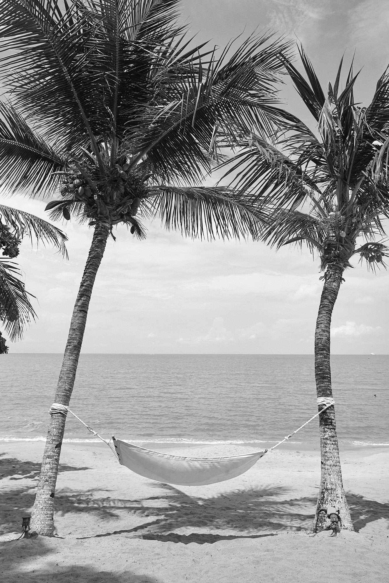 Hammock