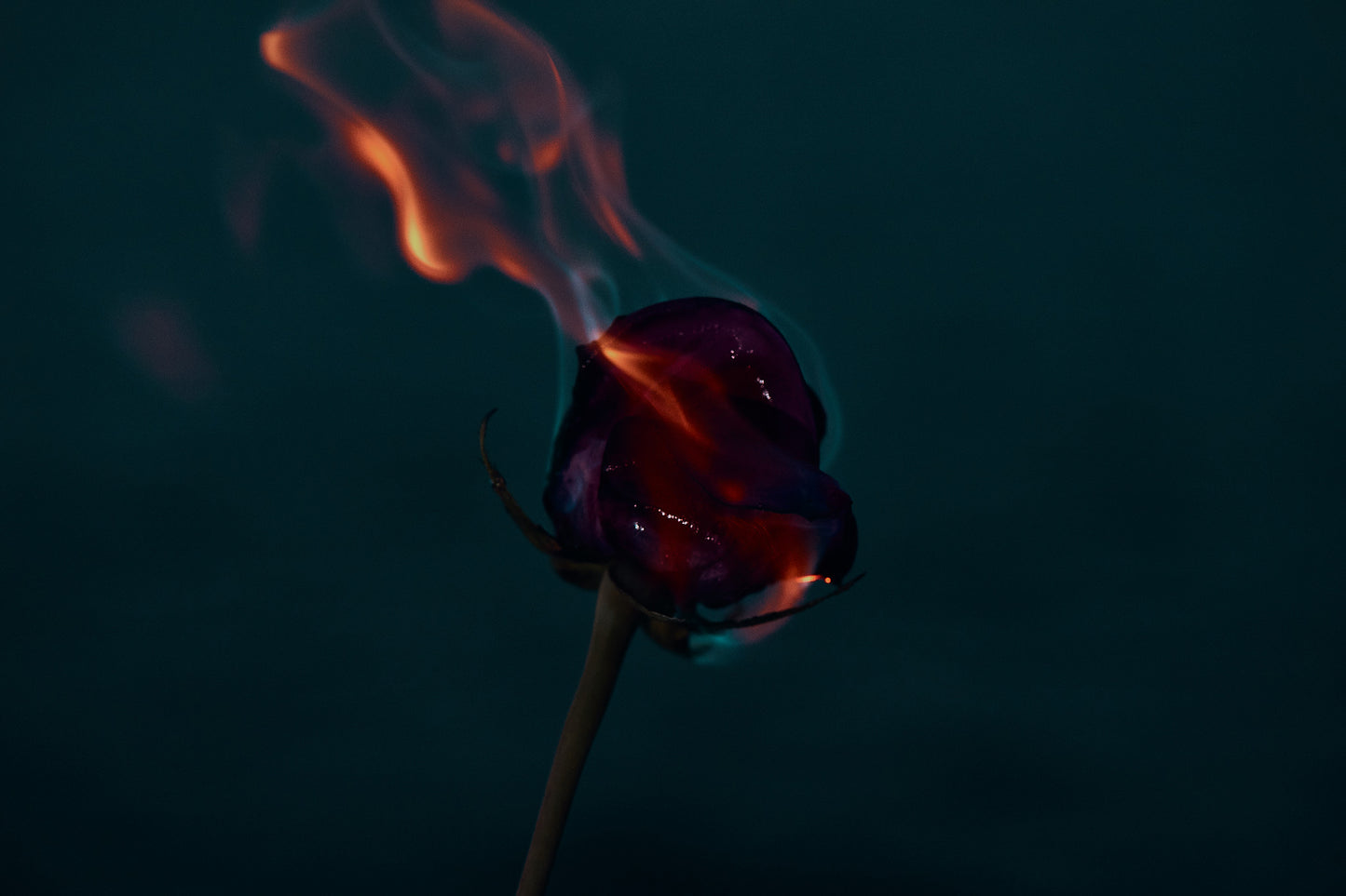 Wildfire II