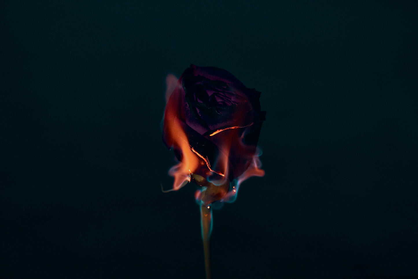 Wildfire V