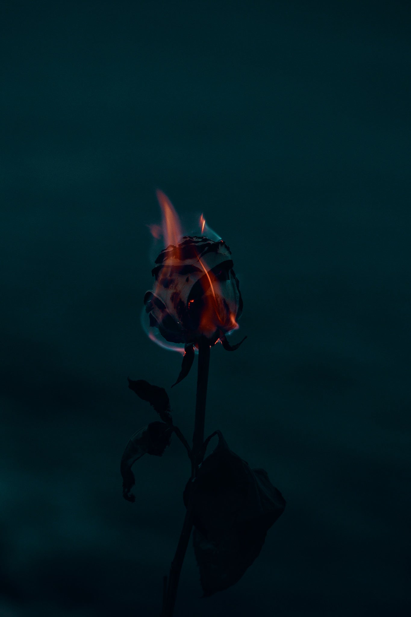 Wildfire X