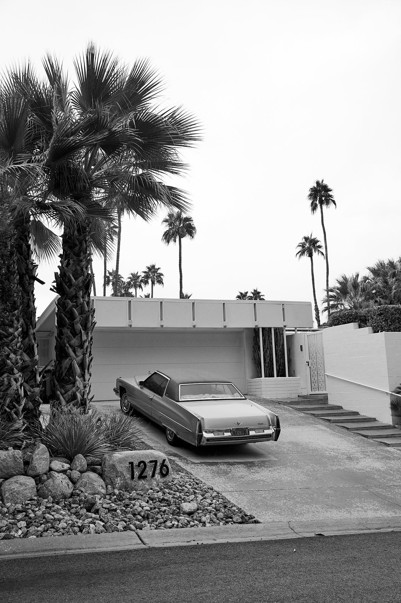 Palm Springs VIII