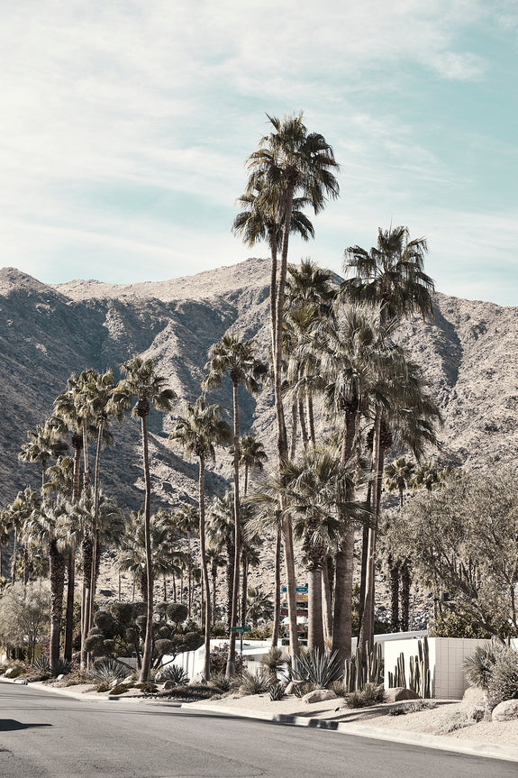 Palm Springs III