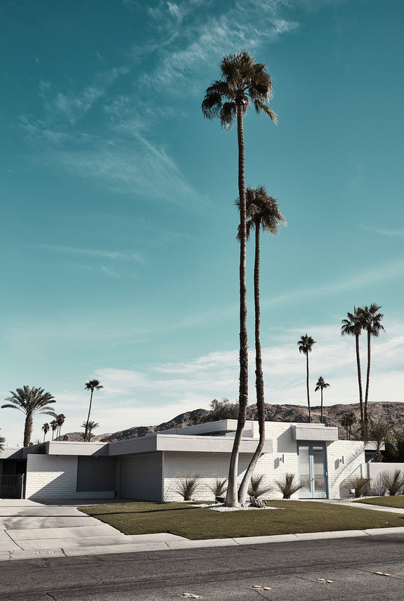 Palm Springs V